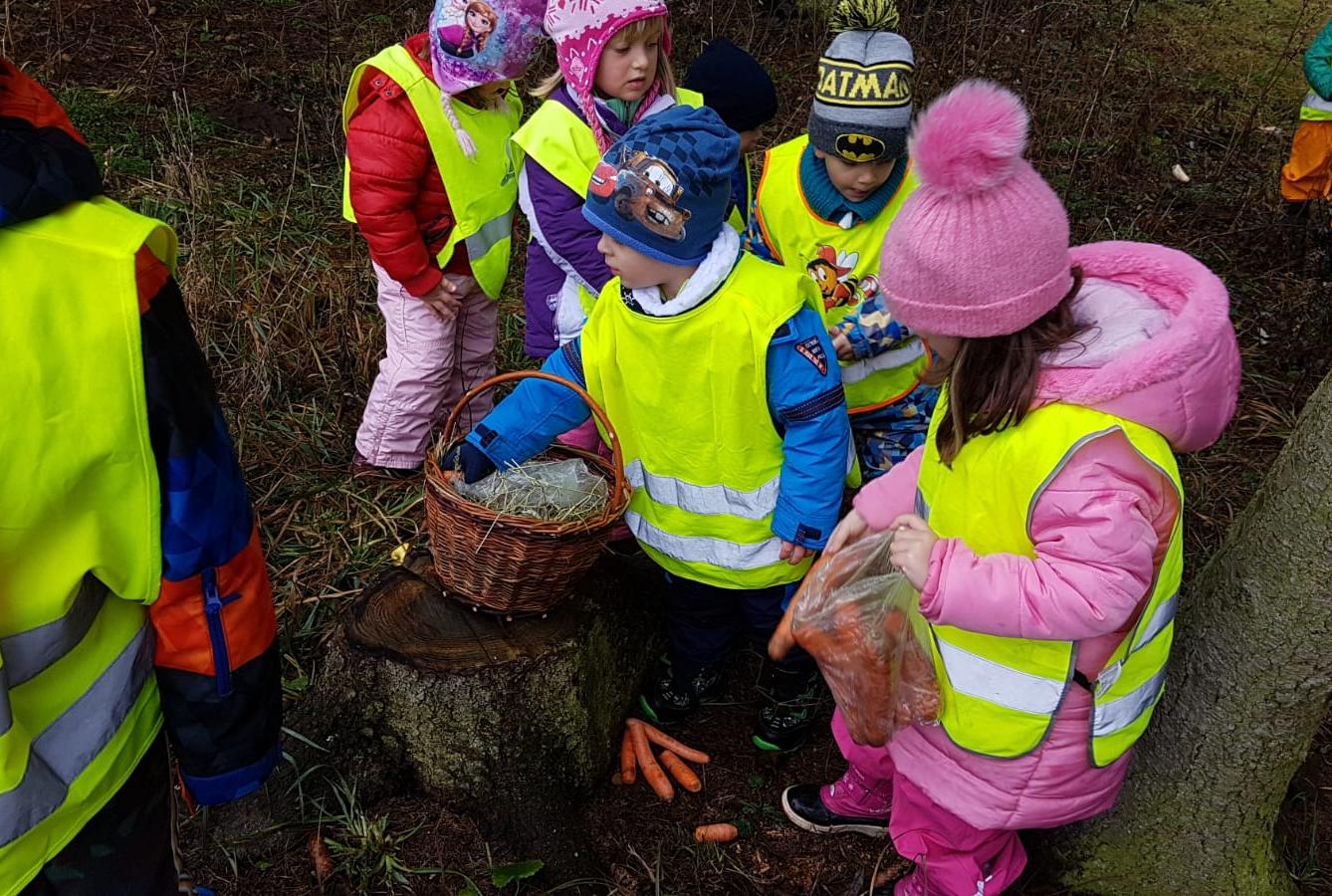 Vánoce pro zvířátka v lese - 22