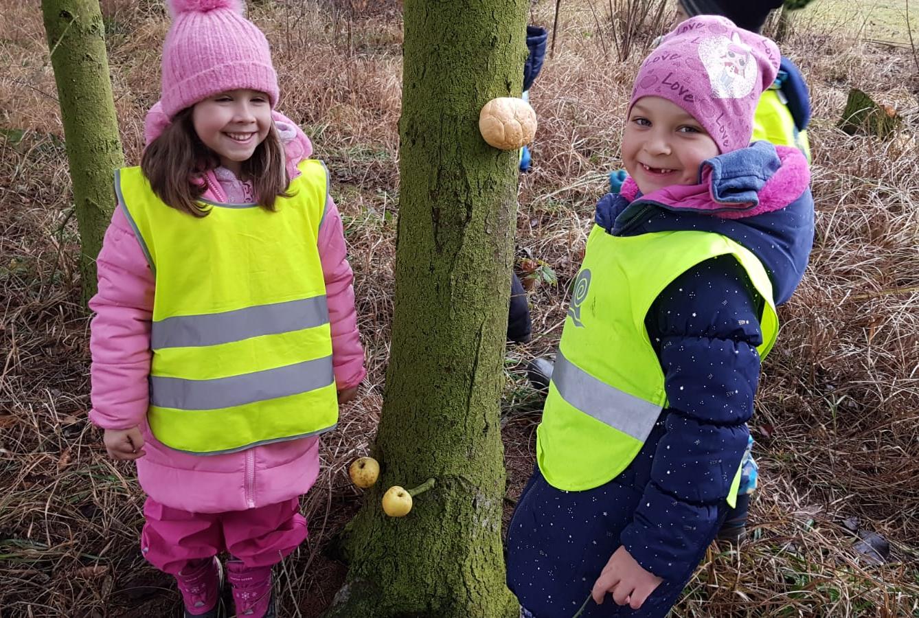 Vánoce pro zvířátka v lese - 24