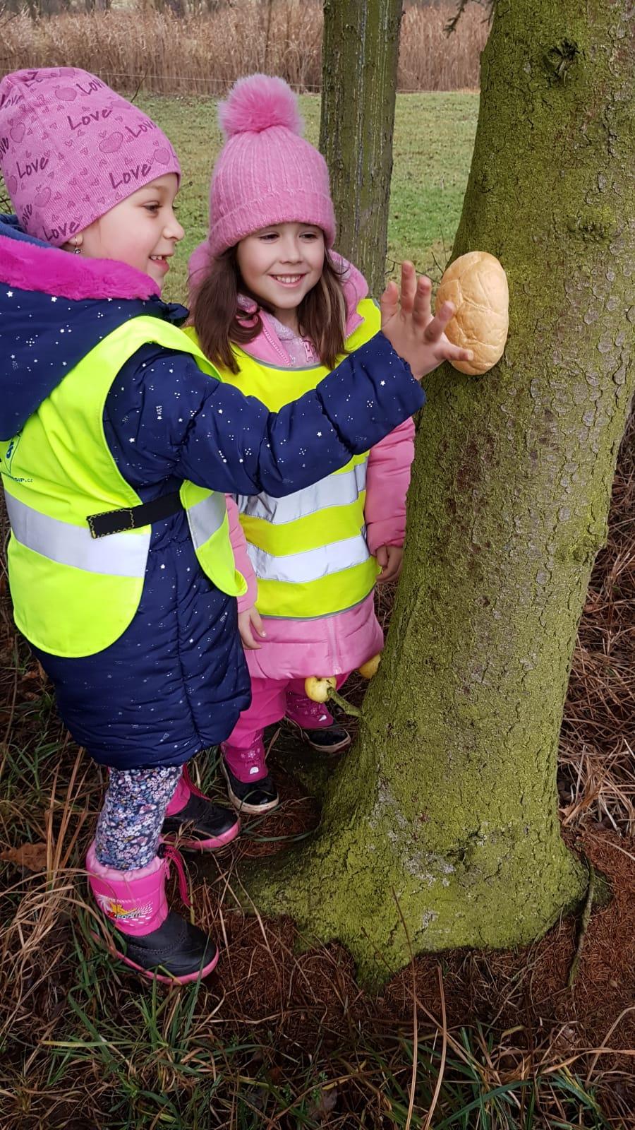 Vánoce pro zvířátka v lese - 26