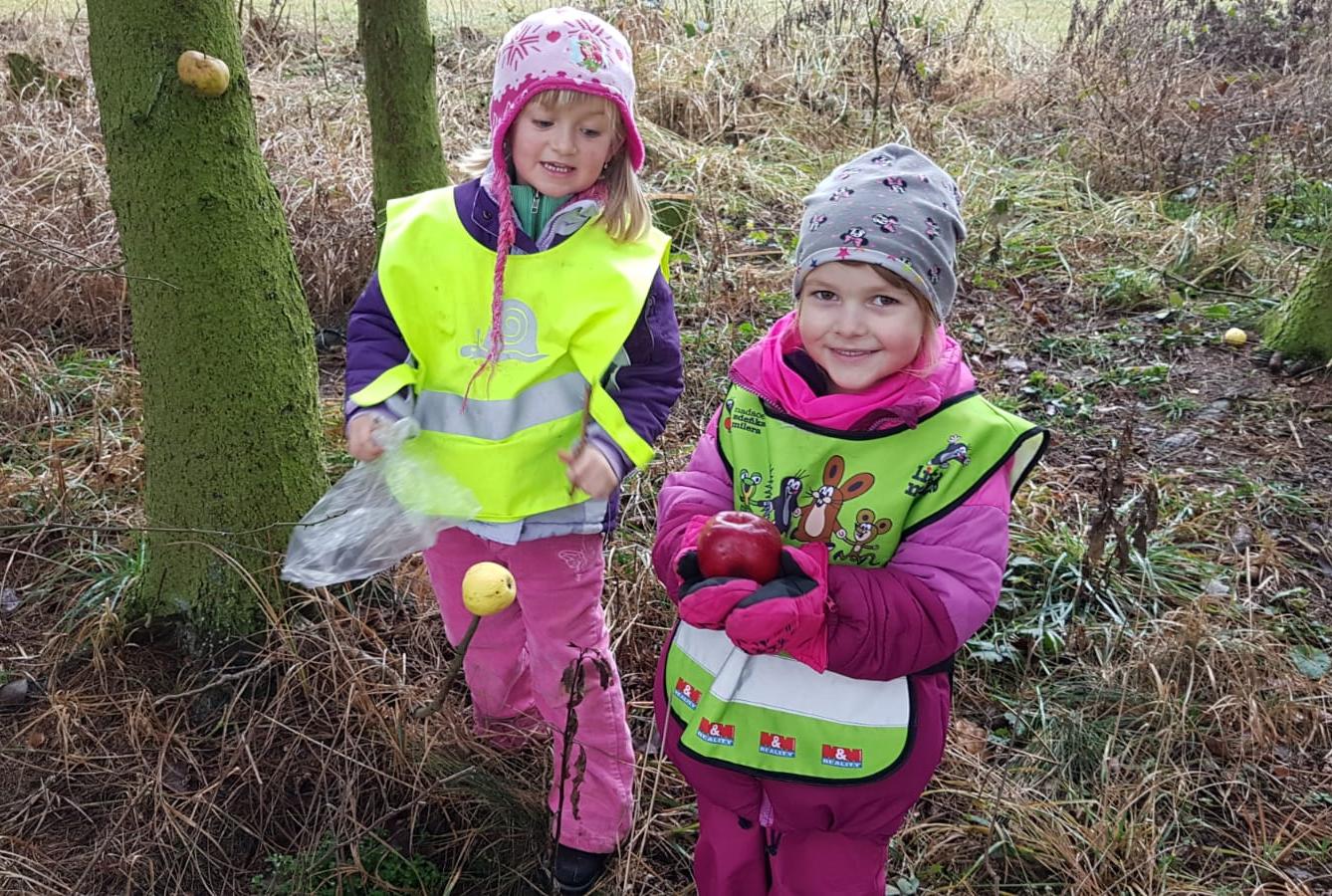 Vánoce pro zvířátka v lese - 27