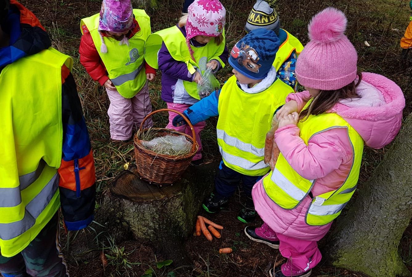 Vánoce pro zvířátka v lese - 29