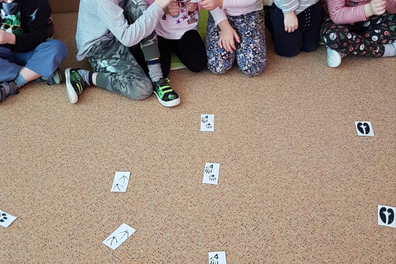 Hrátky se zvířátky (Klokánci)