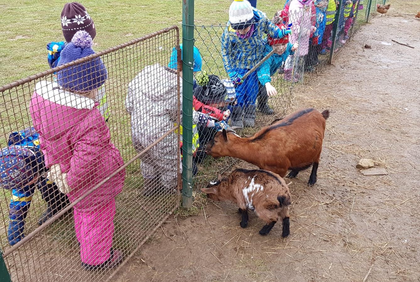 "Máme rádi zvířata" - vycházky za zvířátky - 2