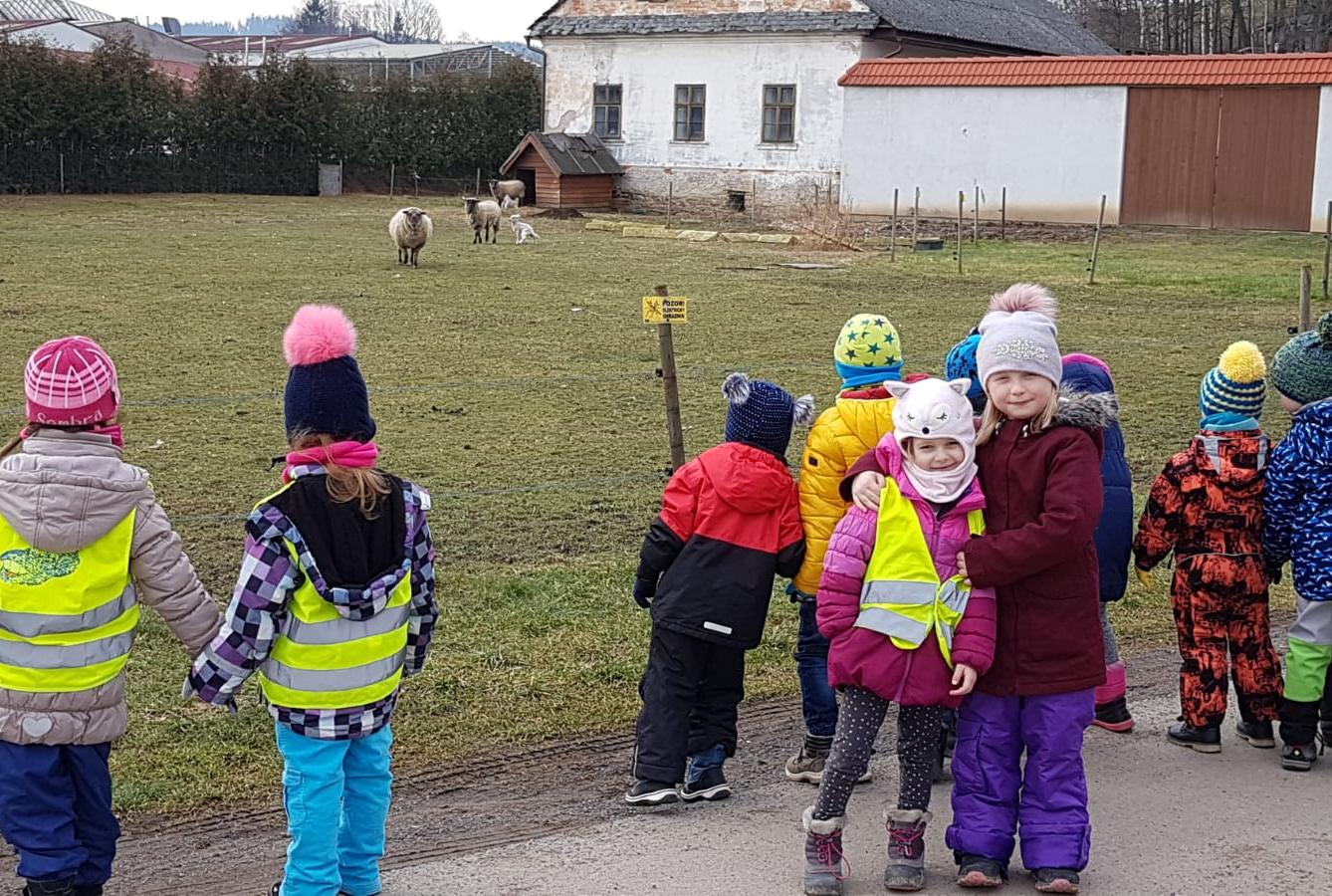 "Máme rádi zvířata" - vycházky za zvířátky - 9