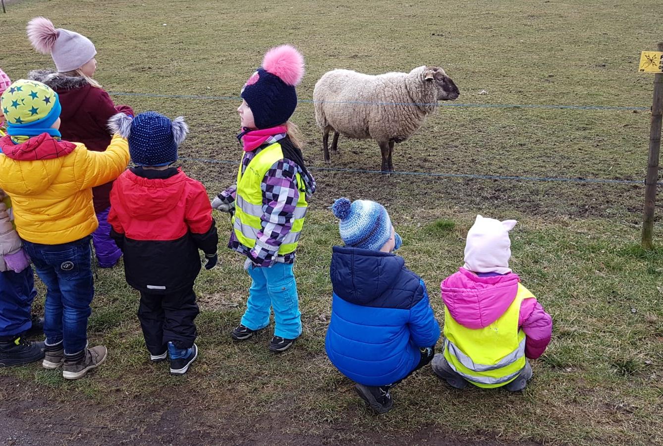 "Máme rádi zvířata" - vycházky za zvířátky - 11