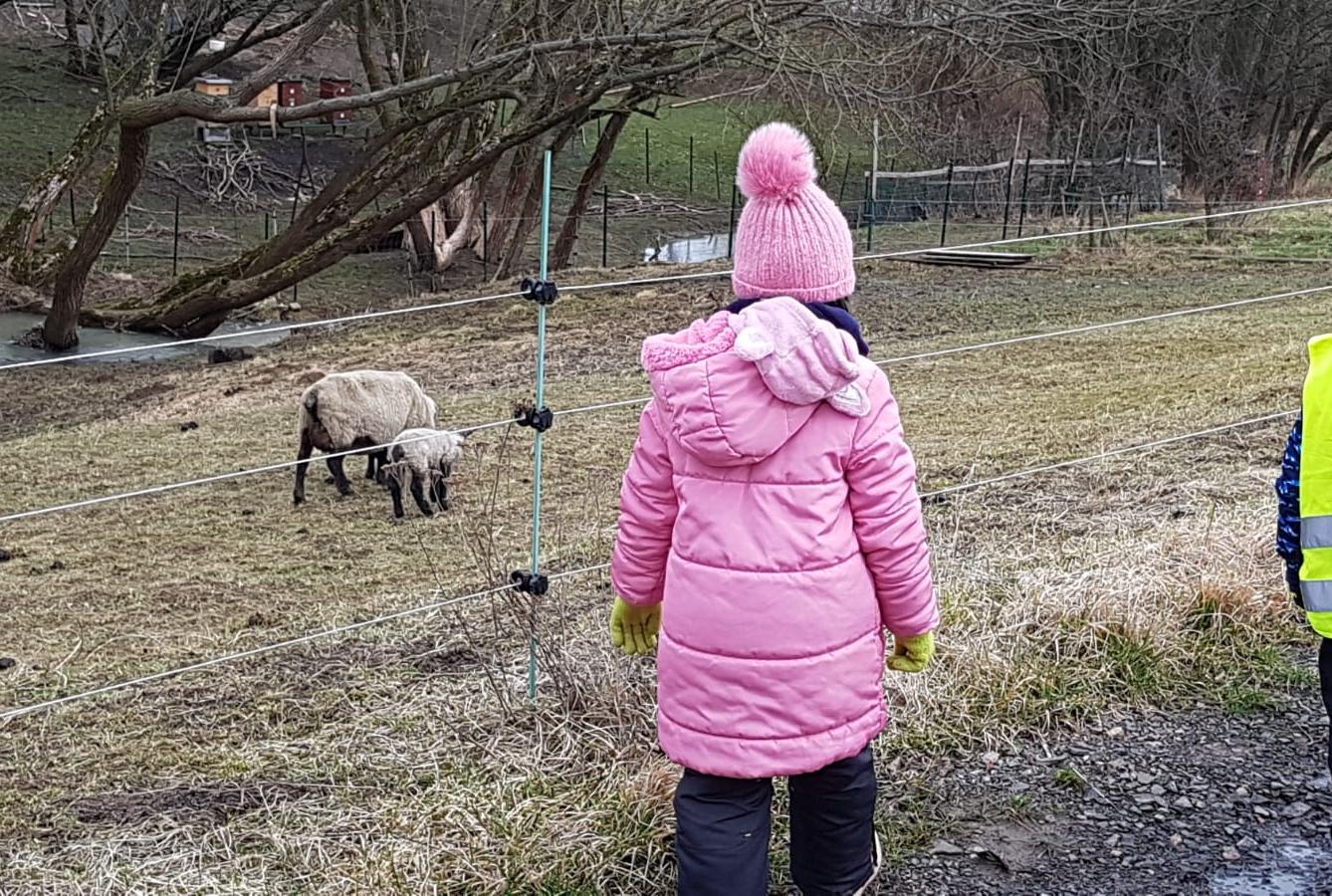 "Máme rádi zvířata" - vycházky za zvířátky - 12