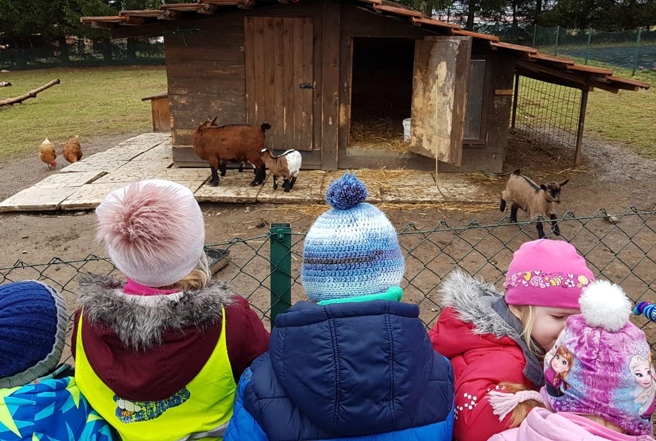 "Máme rádi zvířata" - vycházky za zvířátky - 14
