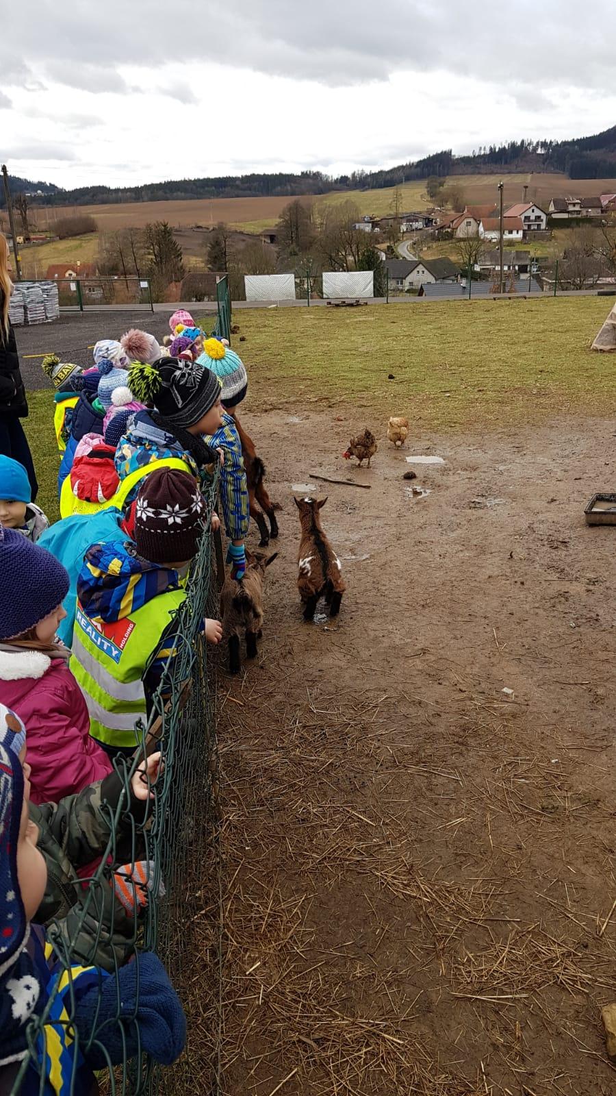 "Máme rádi zvířata" - vycházky za zvířátky - 16