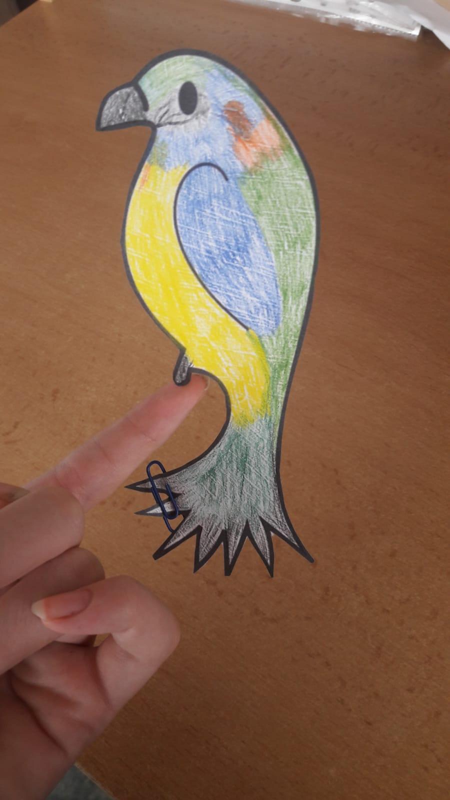 Papoušek na prstu - sedmáci - 6