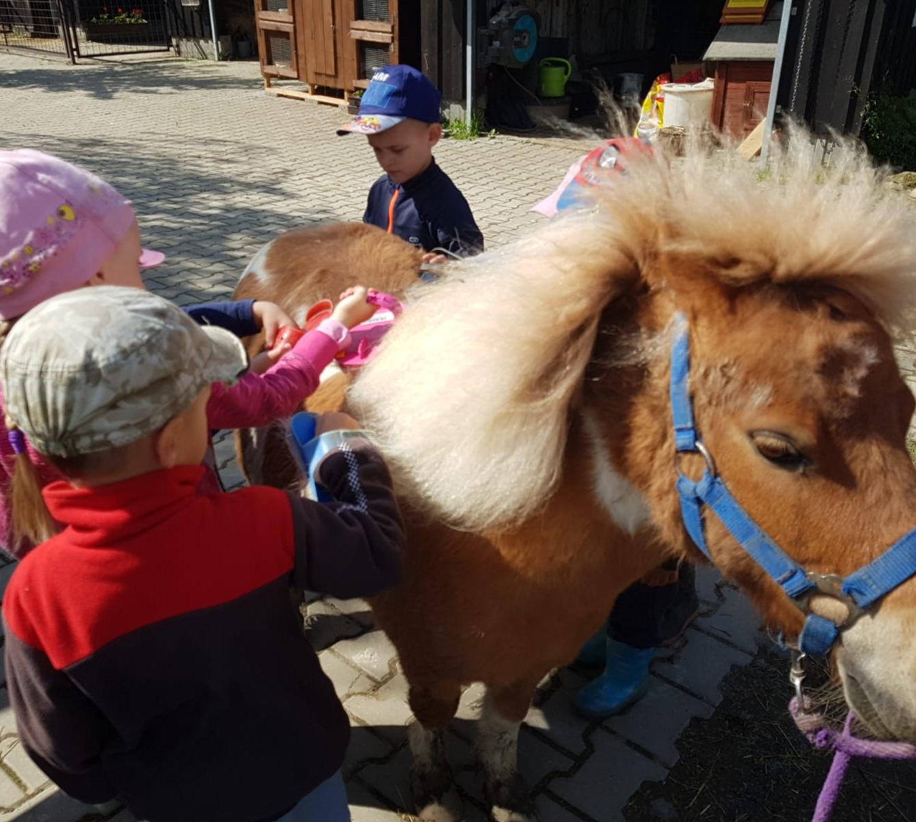 Sláva, nazdar výletu:-) (Babiččin statek - Líšnice) I. část - 13