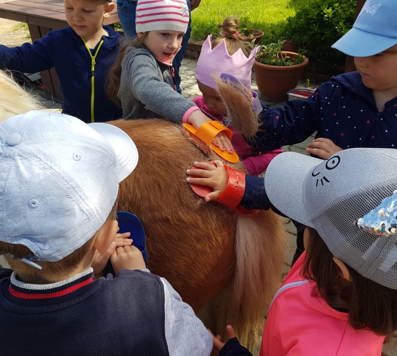 Sláva, nazdar výletu:-) (Babiččin statek - Líšnice) I. část - 19