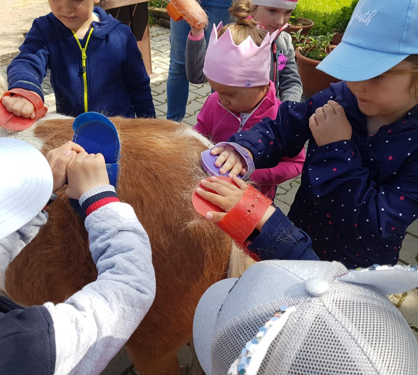 Sláva, nazdar výletu:-) (Babiččin statek - Líšnice) I. část - 20