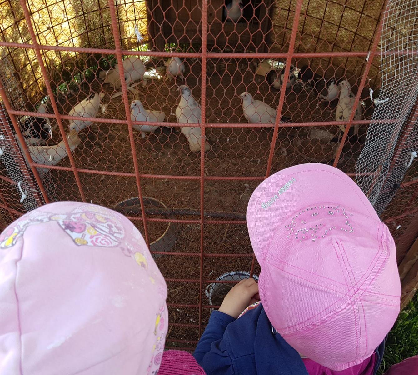 Sláva, nazdar výletu:-) (Babiččin statek - Líšnice) I. část - 33