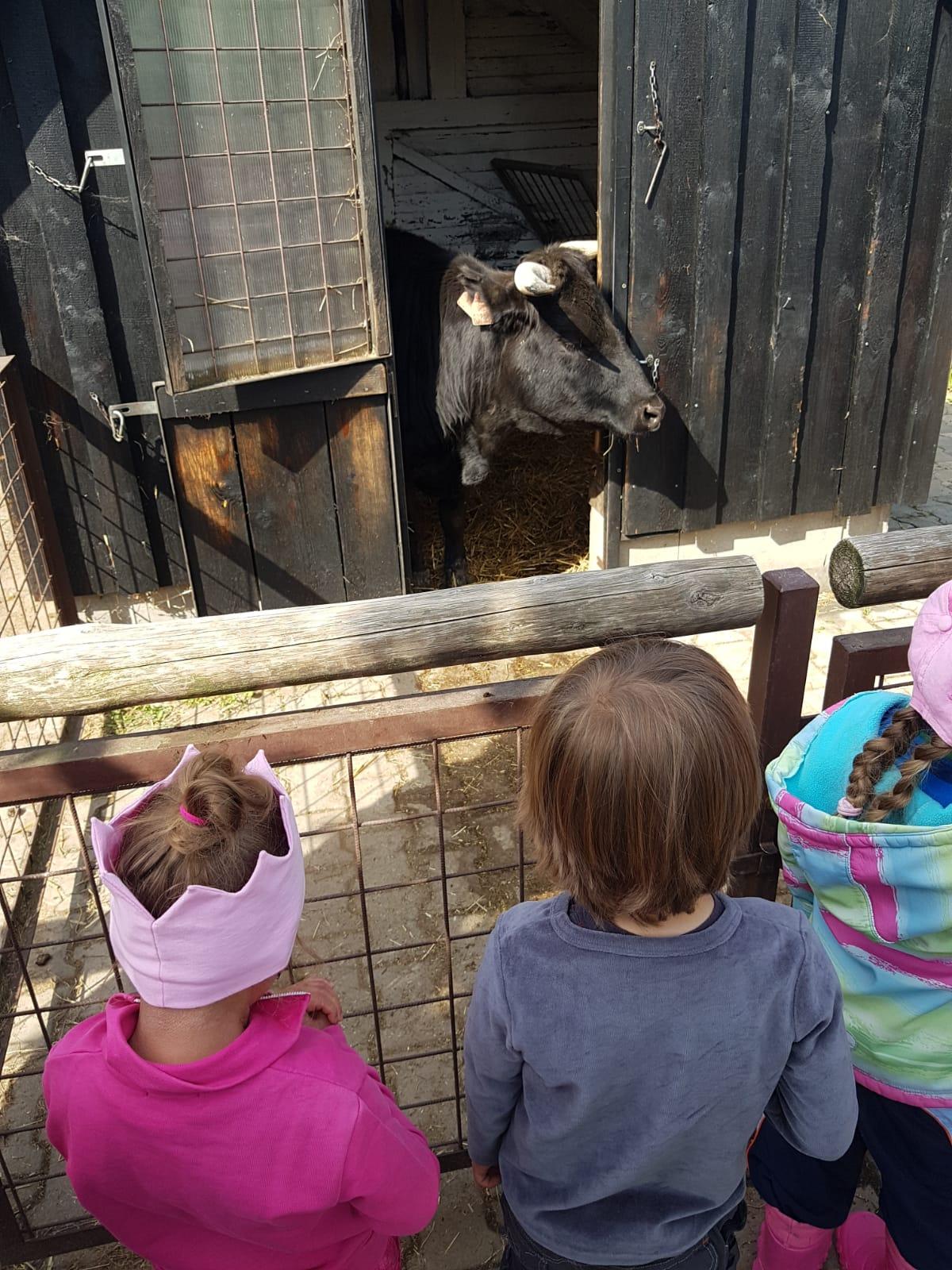 Sláva, nazdar výletu:-) (Babiččin statek - Líšnice) I. část - 34