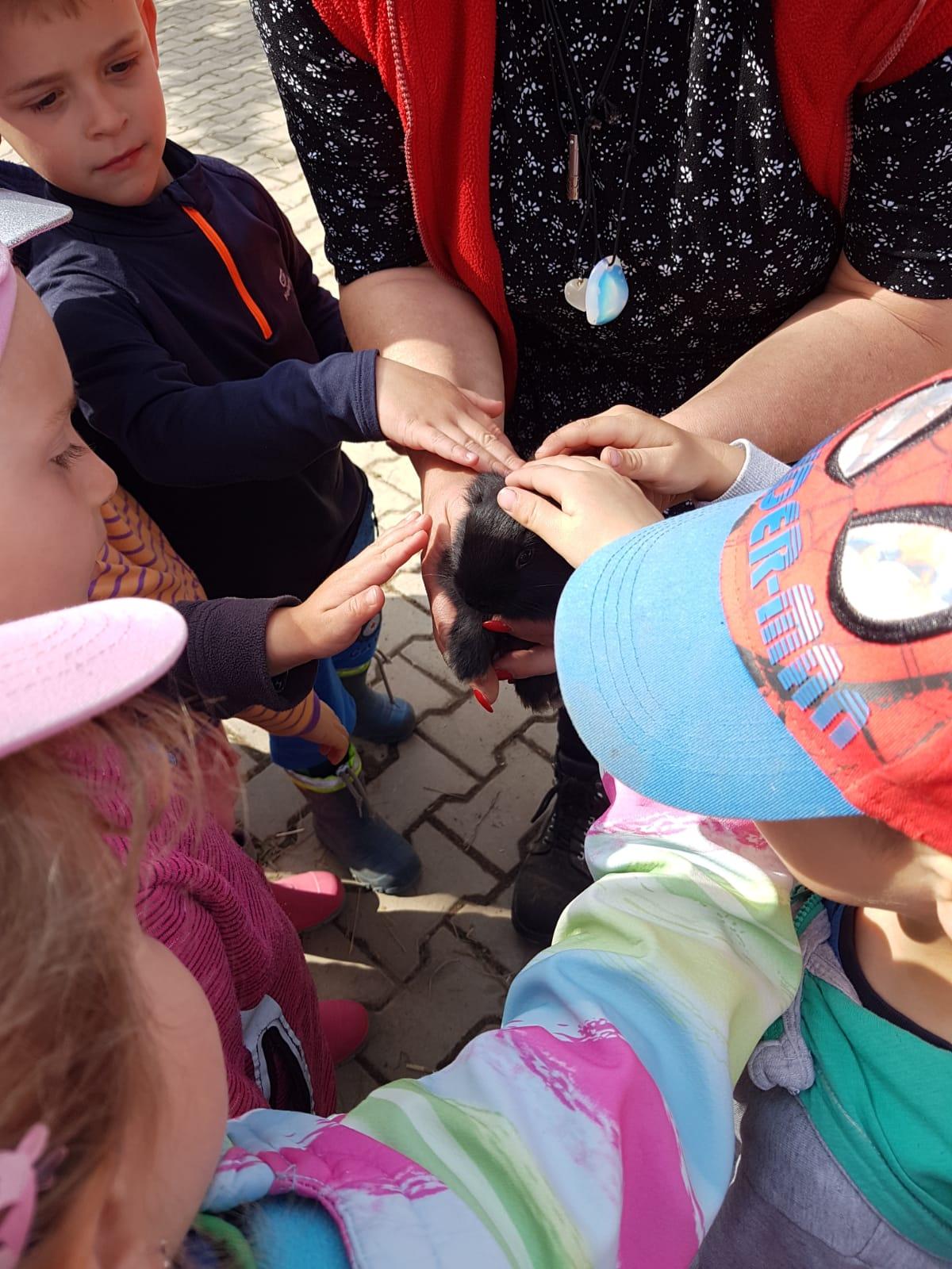 Sláva, nazdar výletu:-) (Babiččin statek - Líšnice) I. část - 35