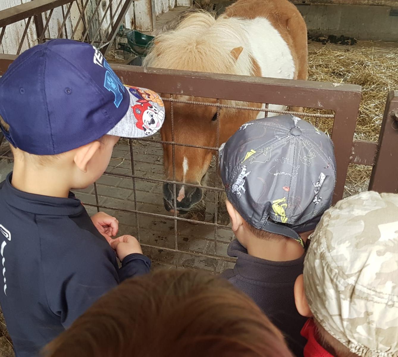 Sláva, nazdar výletu:-) (Babiččin statek - Líšnice) I. část - 41