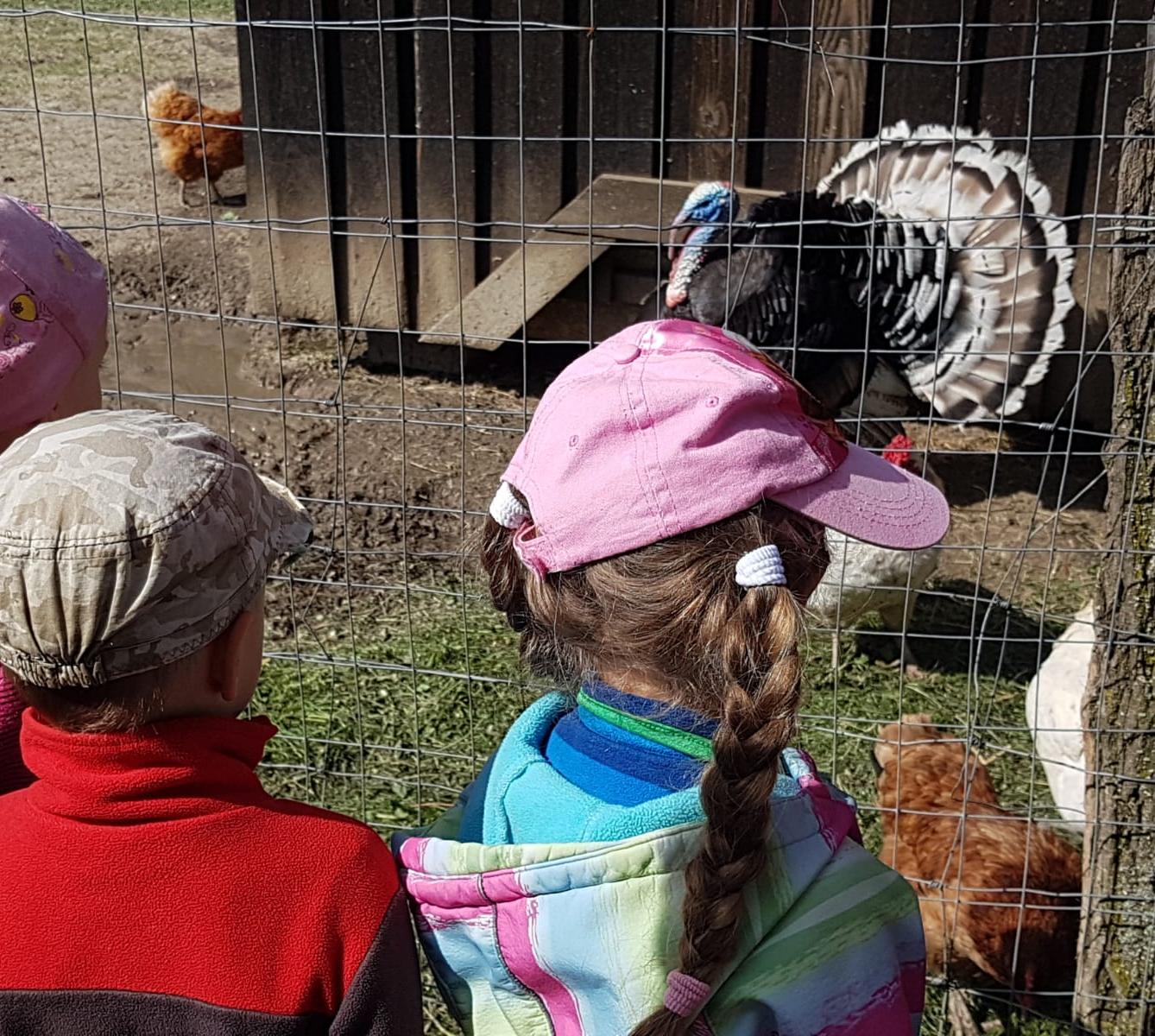 Sláva, nazdar výletu:-) (Babiččin statek - Líšnice) I. část - 43