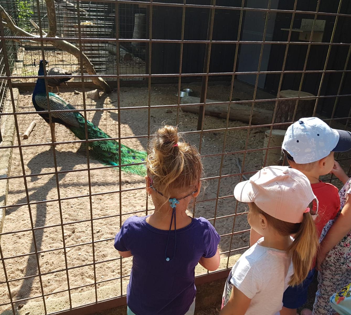 Sláva, nazdar výletu!!!!!! "Záchranná stanice Pasíčka" - 9