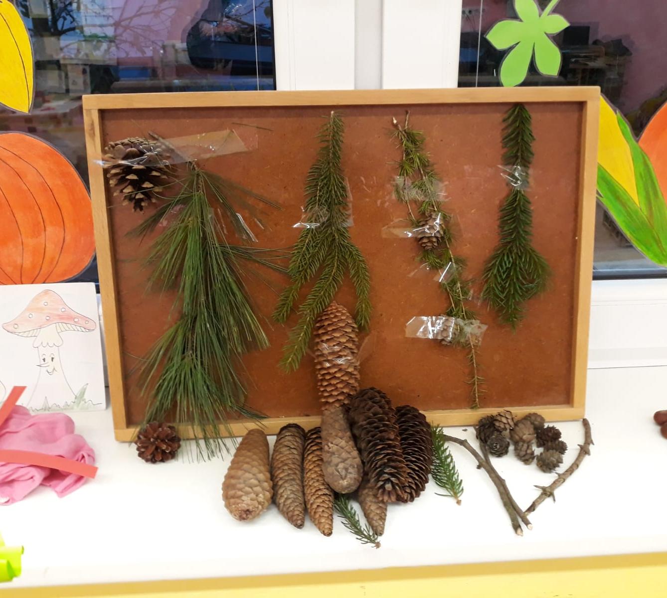 "Barevný svět kolem nás II." - podzimní dny v MŠ :-) - 2