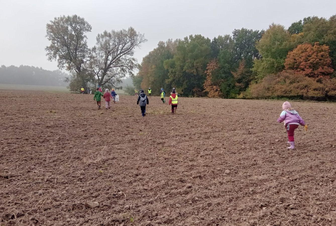 Podzim v naší školce - 48