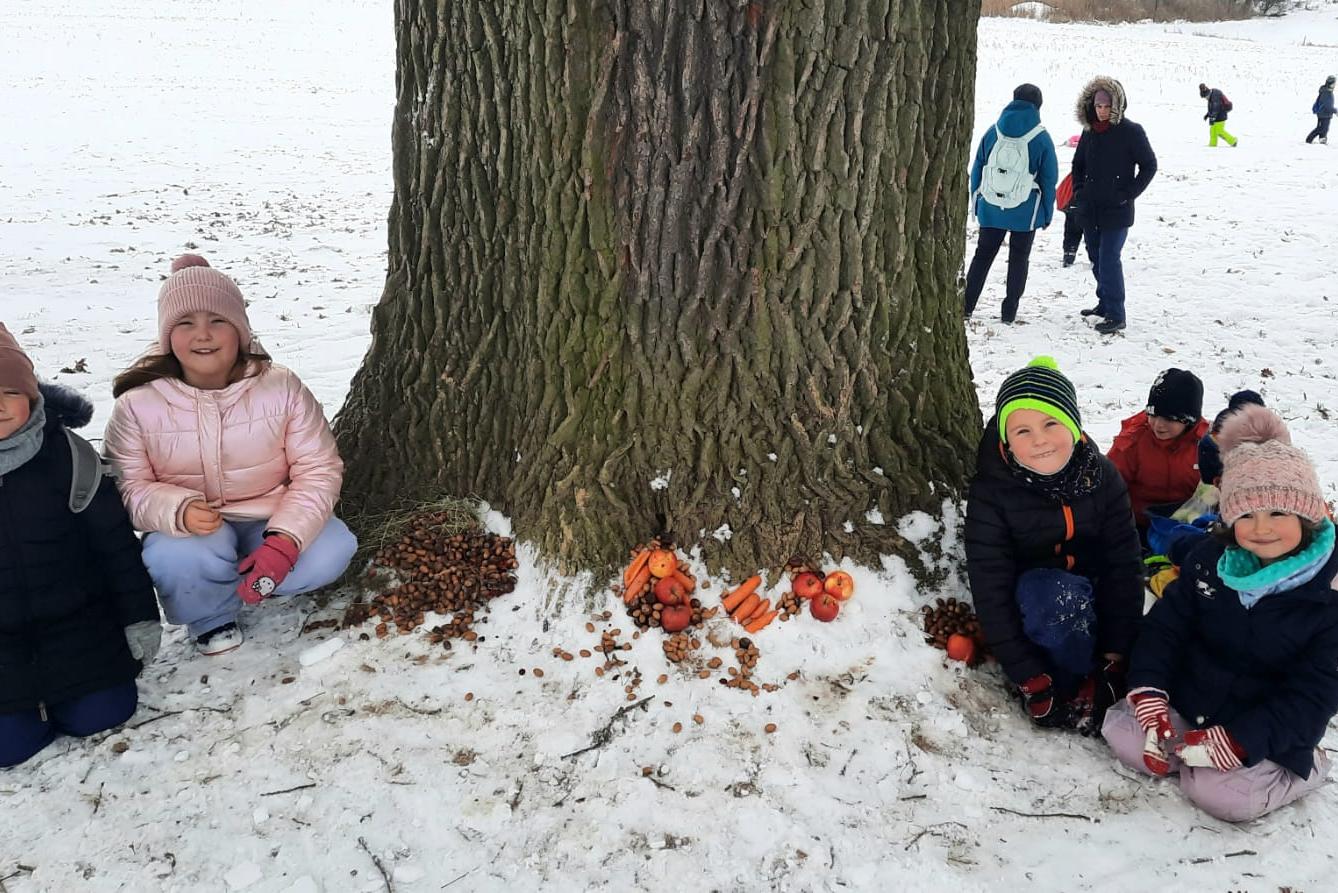 Vánoční les na 1. stupni - 27