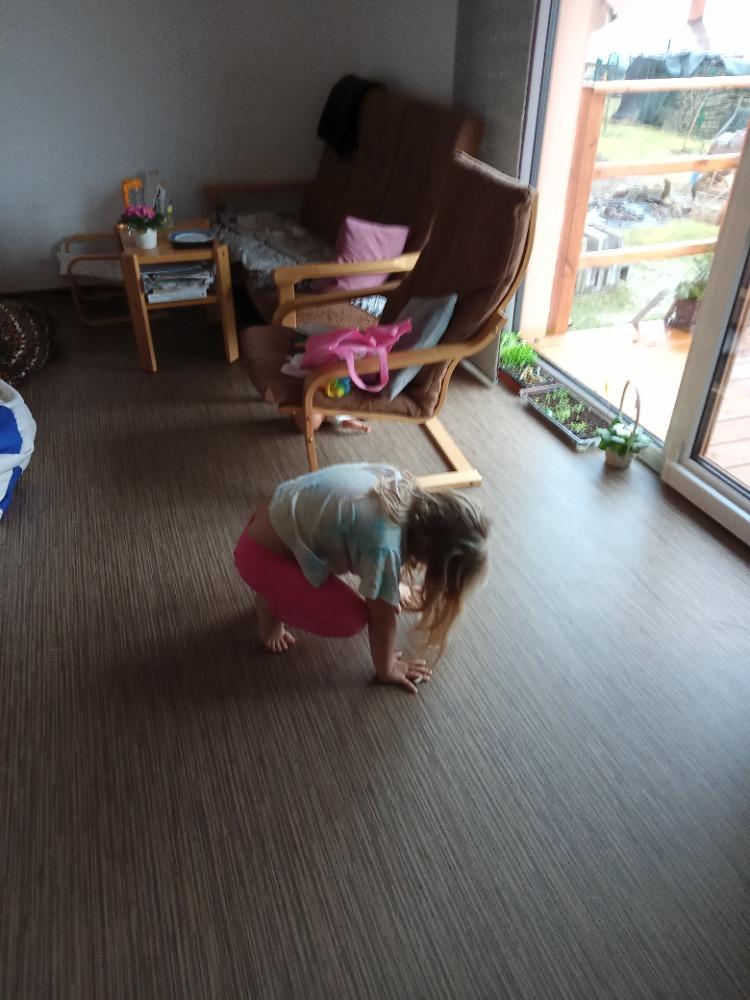 Distanční výuka v MŠ Kamarád (Jaro přišlo do vsi - předškoláci) :-) - 13