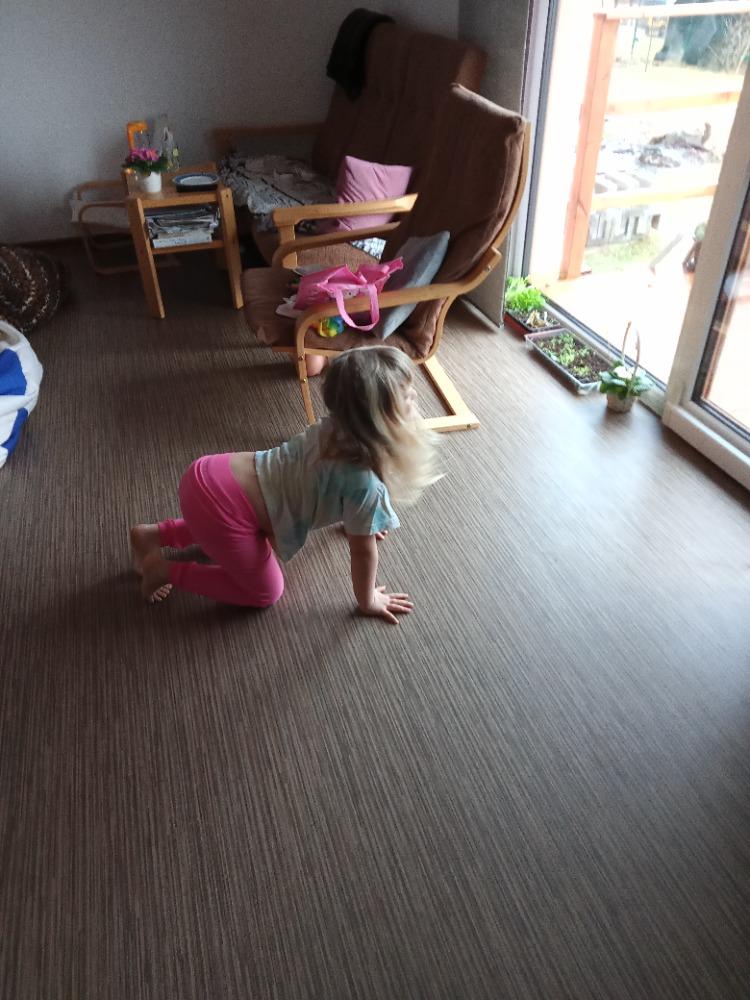 Distanční výuka v MŠ Kamarád (Jaro přišlo do vsi - předškoláci) :-) - 14