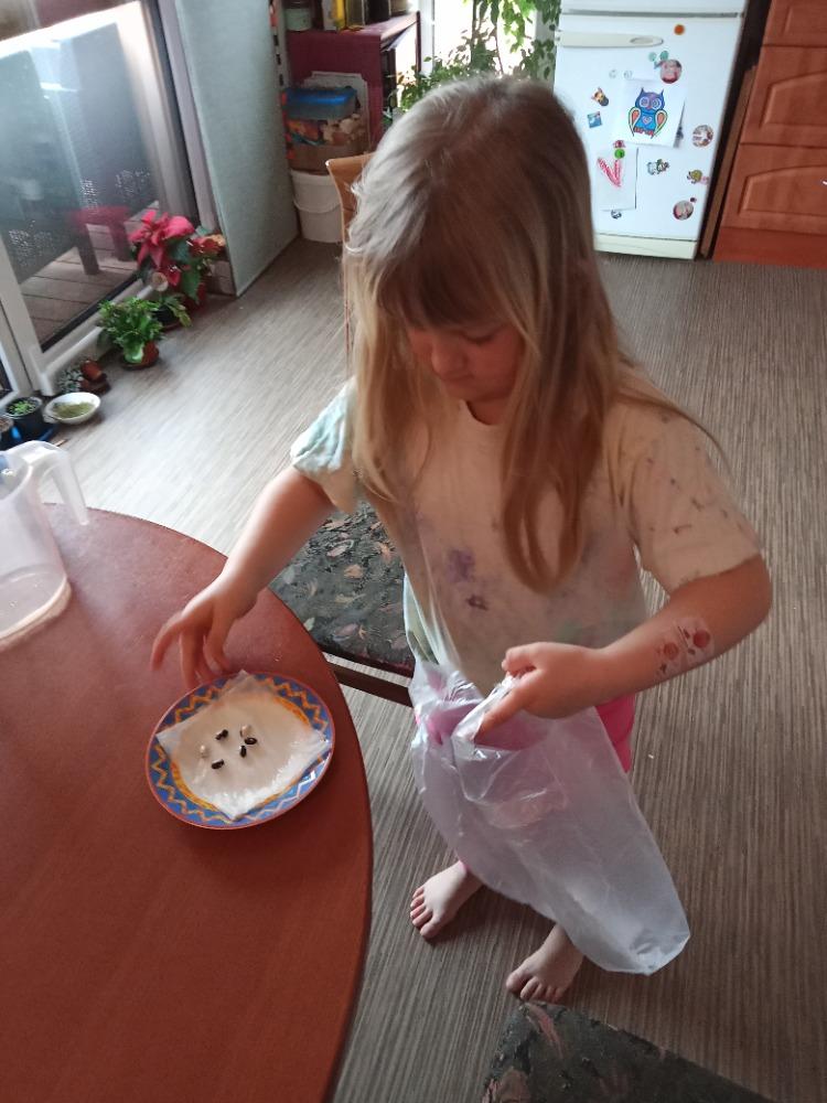 Distanční výuka v MŠ Kamarád (Jaro přišlo do vsi - předškoláci) :-) - 18