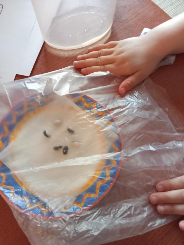 Distanční výuka v MŠ Kamarád (Jaro přišlo do vsi - předškoláci) :-) - 19