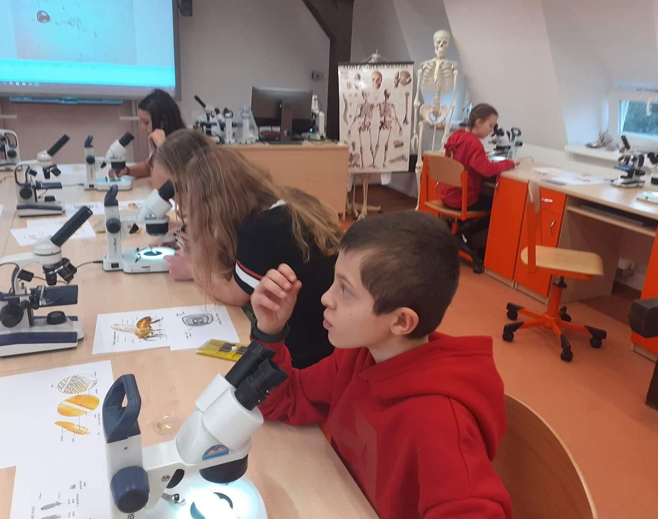 Základy mikroskopování - šesté třídy - 1