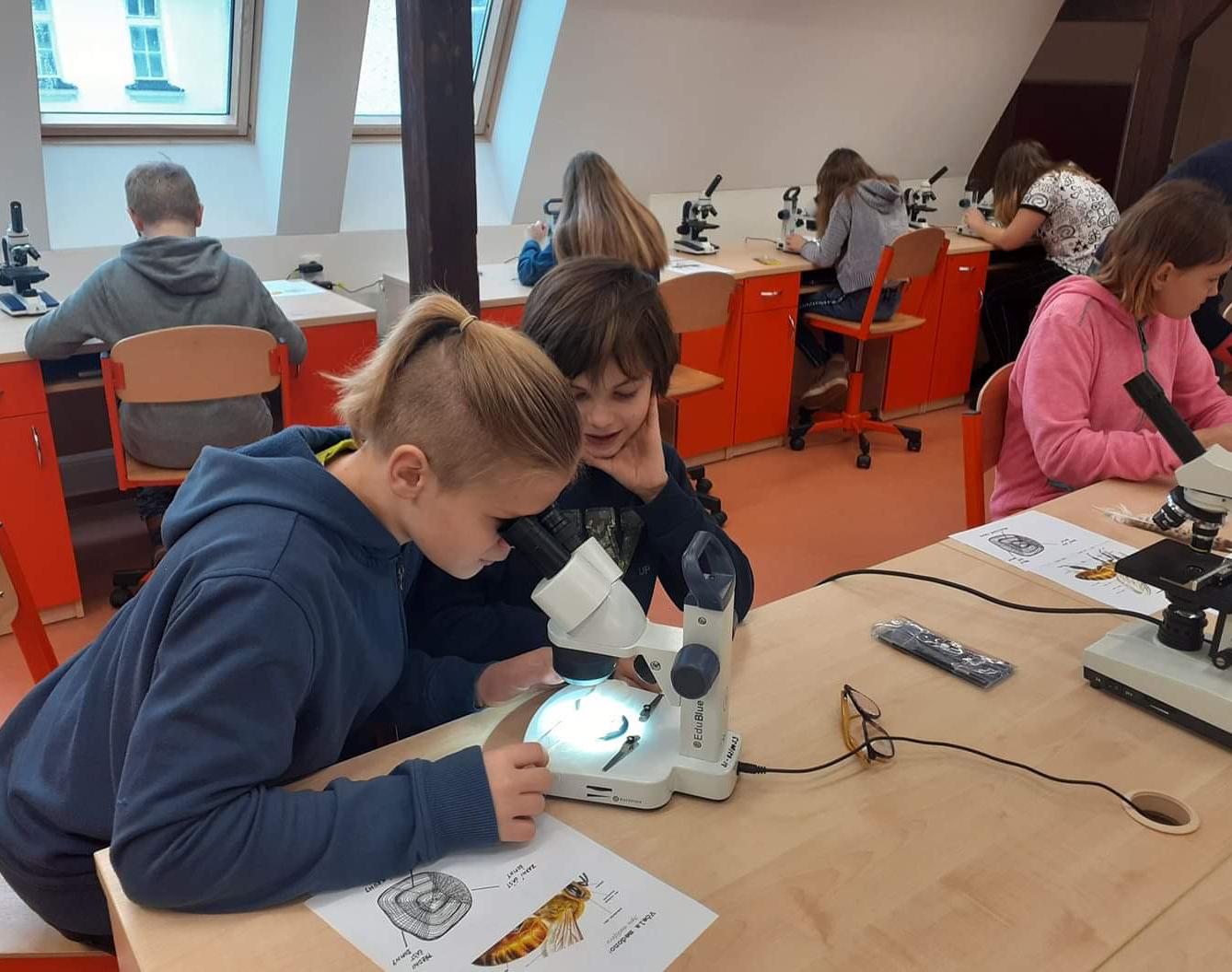 Základy mikroskopování - šesté třídy - 2