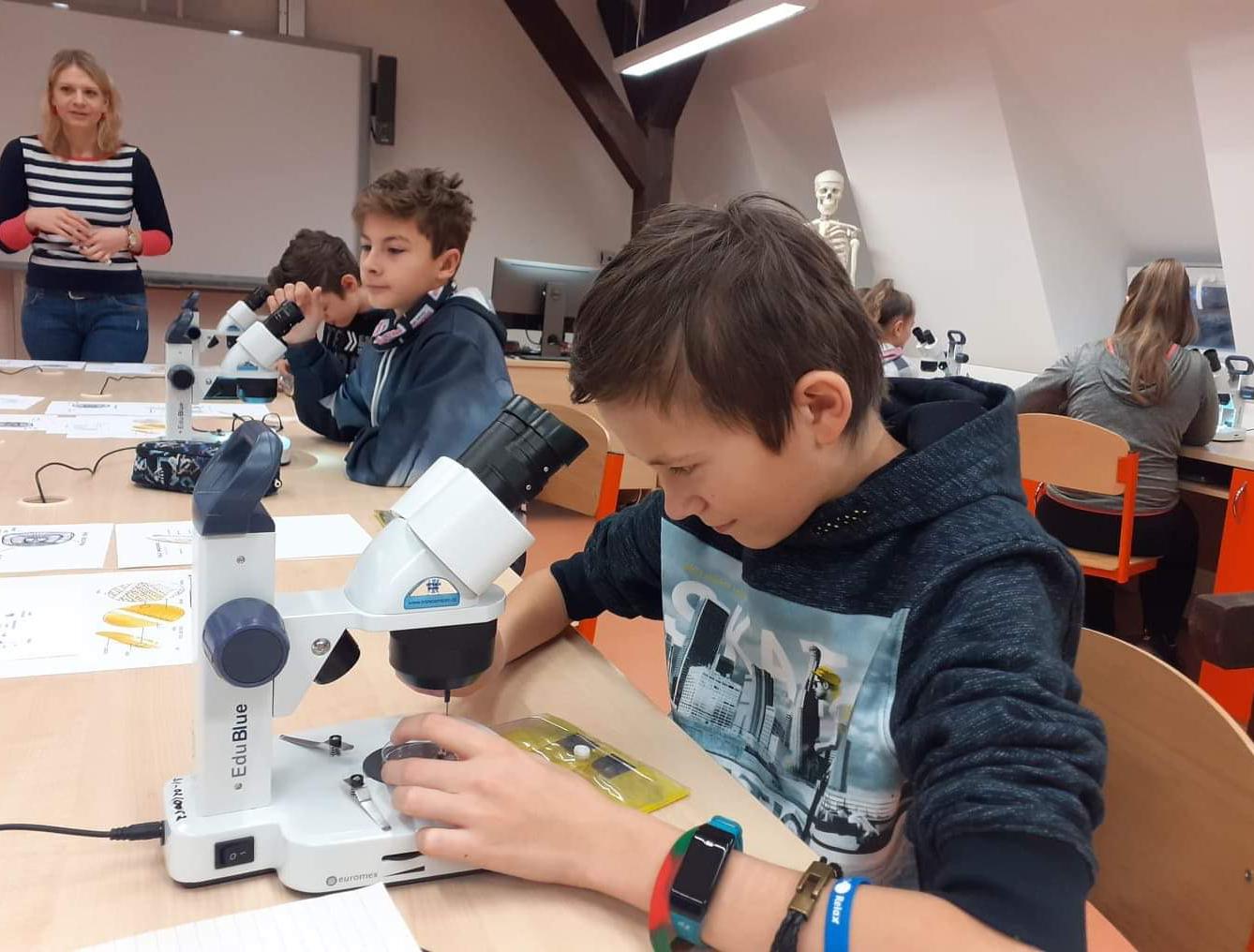 Základy mikroskopování - šesté třídy - 4