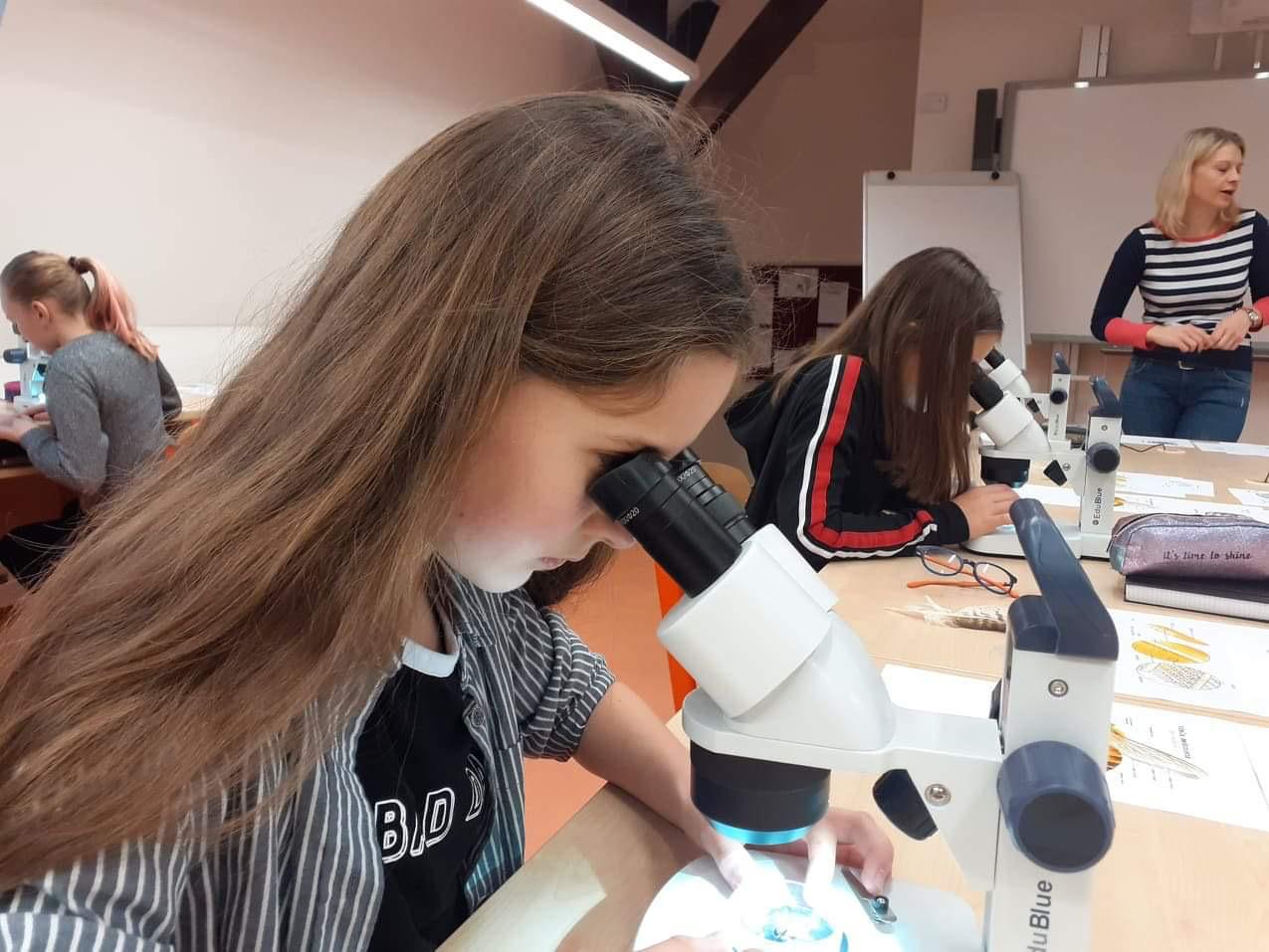 Základy mikroskopování - šesté třídy - 5