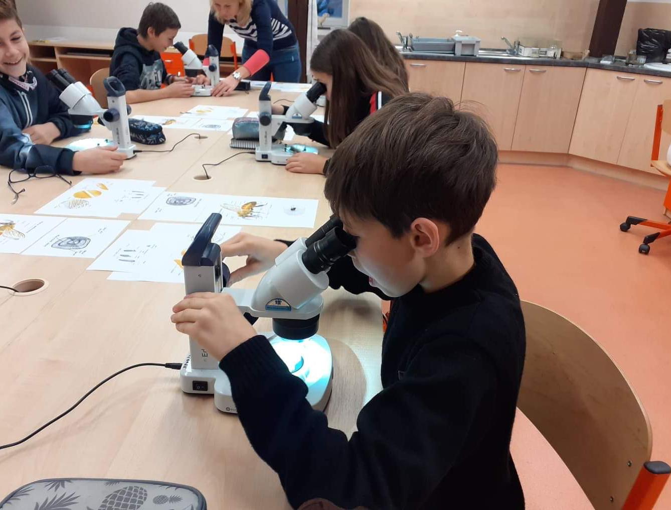 Základy mikroskopování - šesté třídy - 6