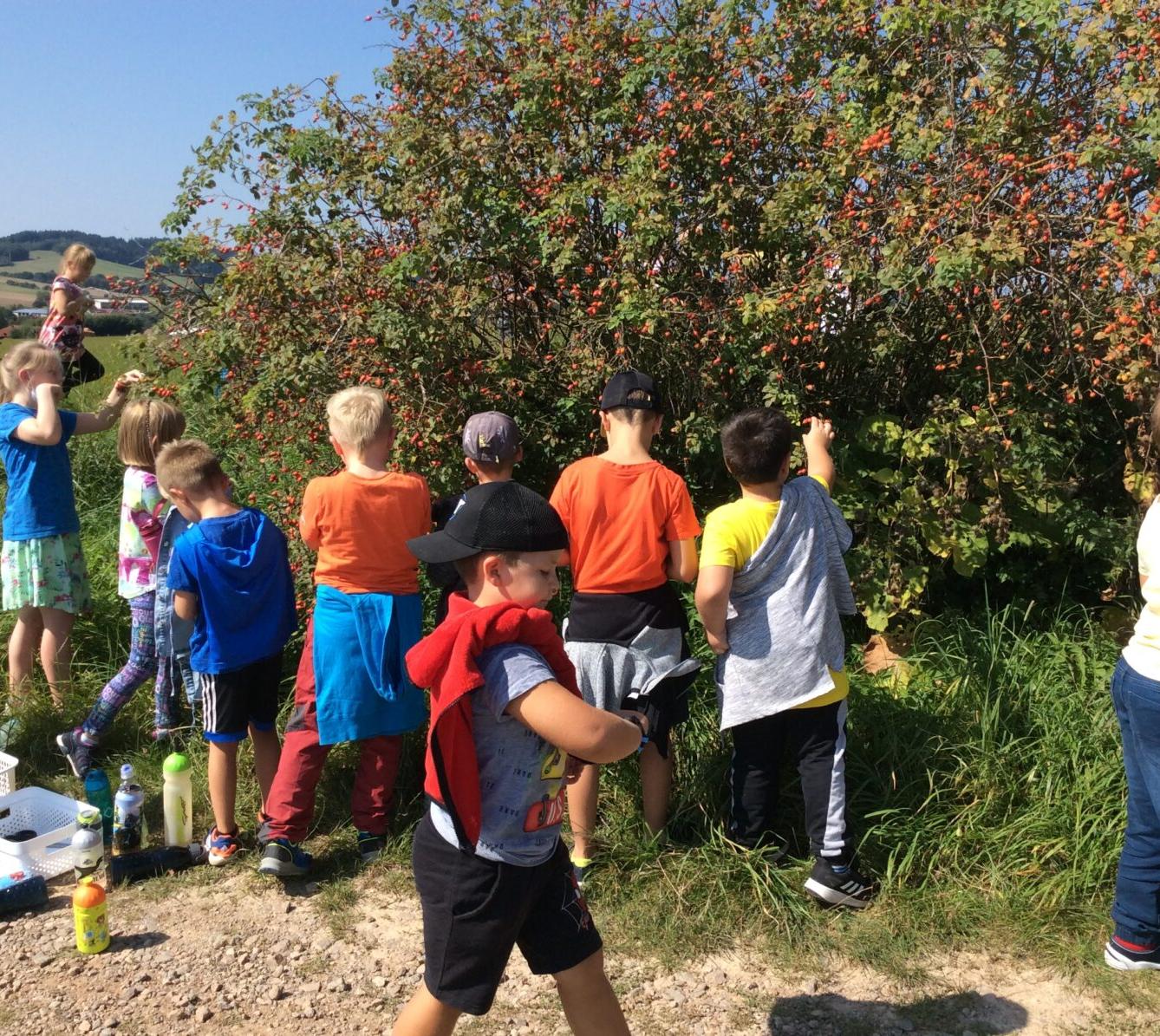 Vítáme naše prvňáčky a všechny děti ve družince*** - 9