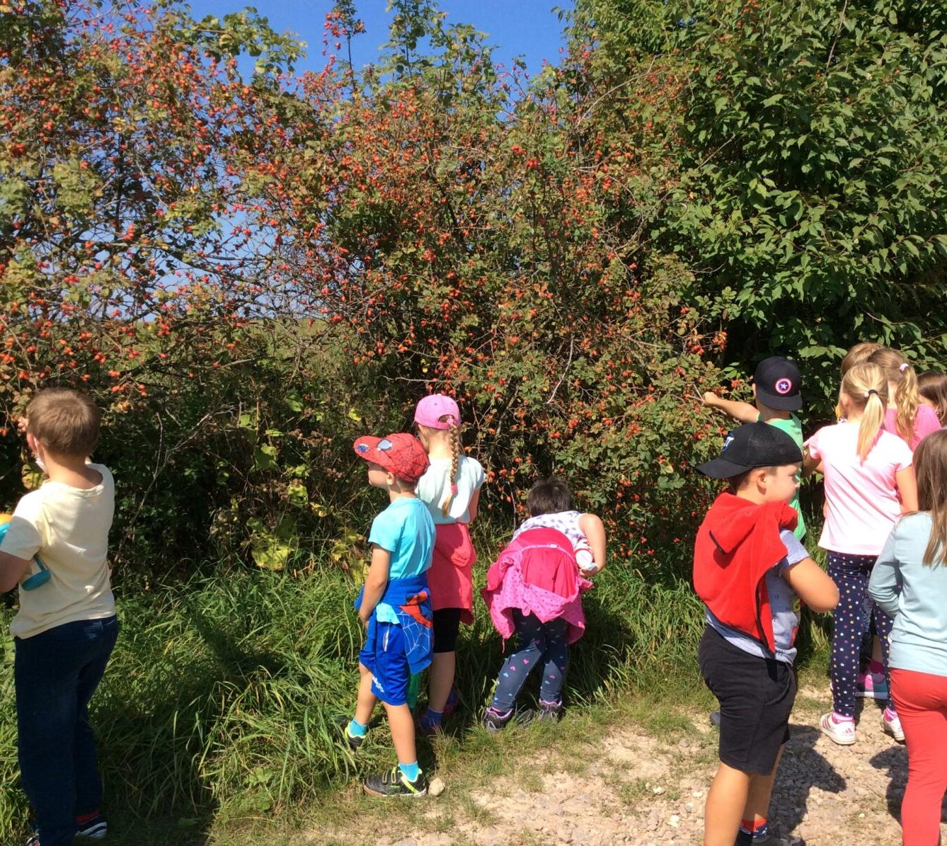 Vítáme naše prvňáčky a všechny děti ve družince*** - 10