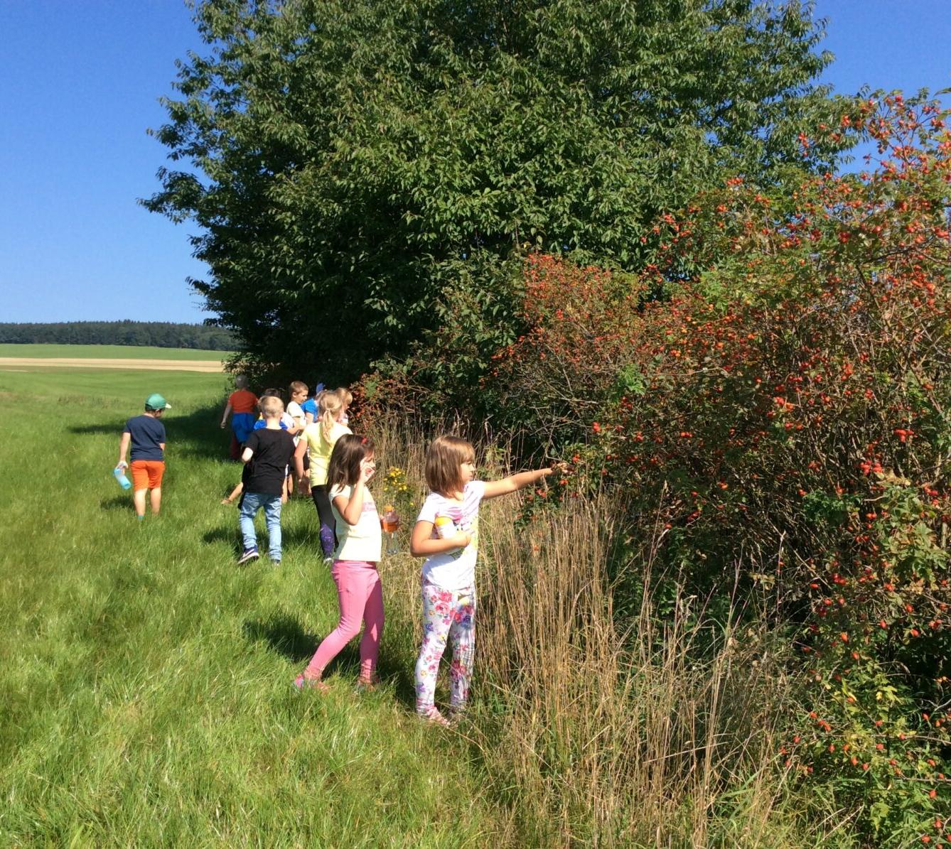 Vítáme naše prvňáčky a všechny děti ve družince*** - 12