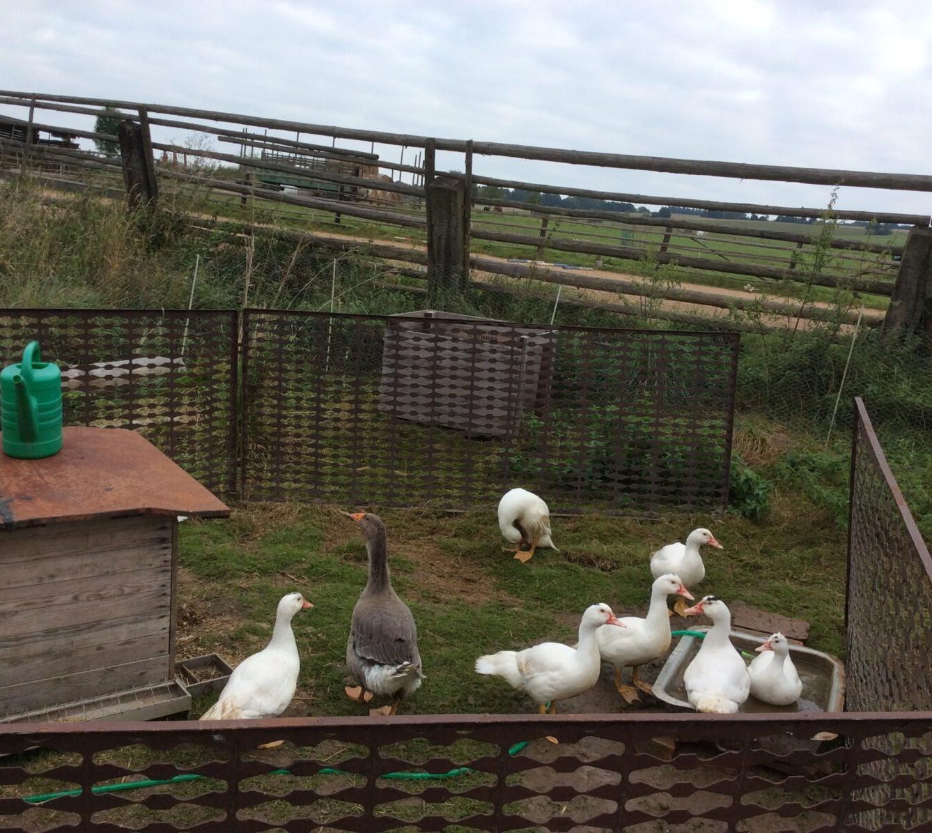 Turistický kroužek - TLAPKY - 5