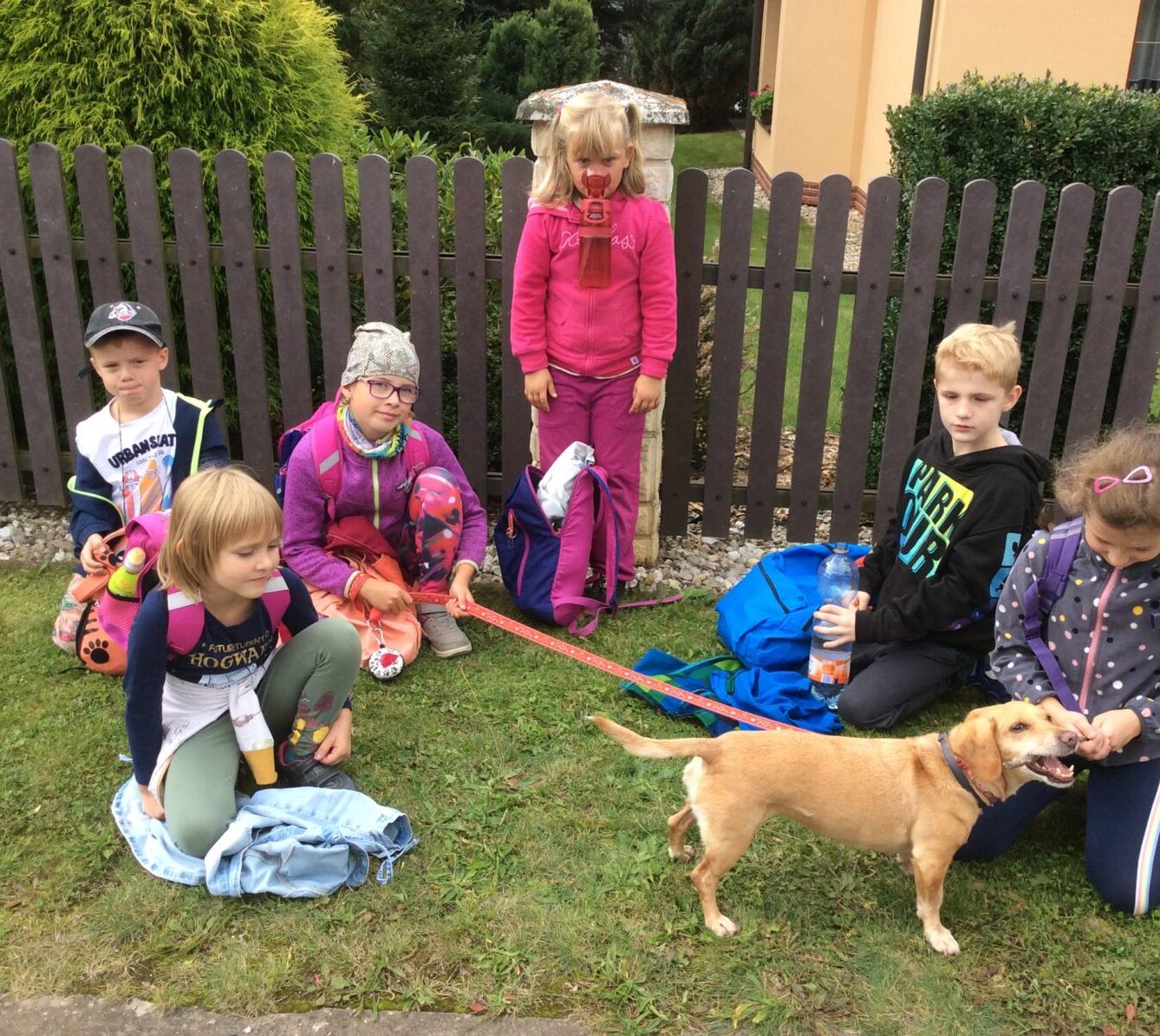 Turistický kroužek - TLAPKY - 28