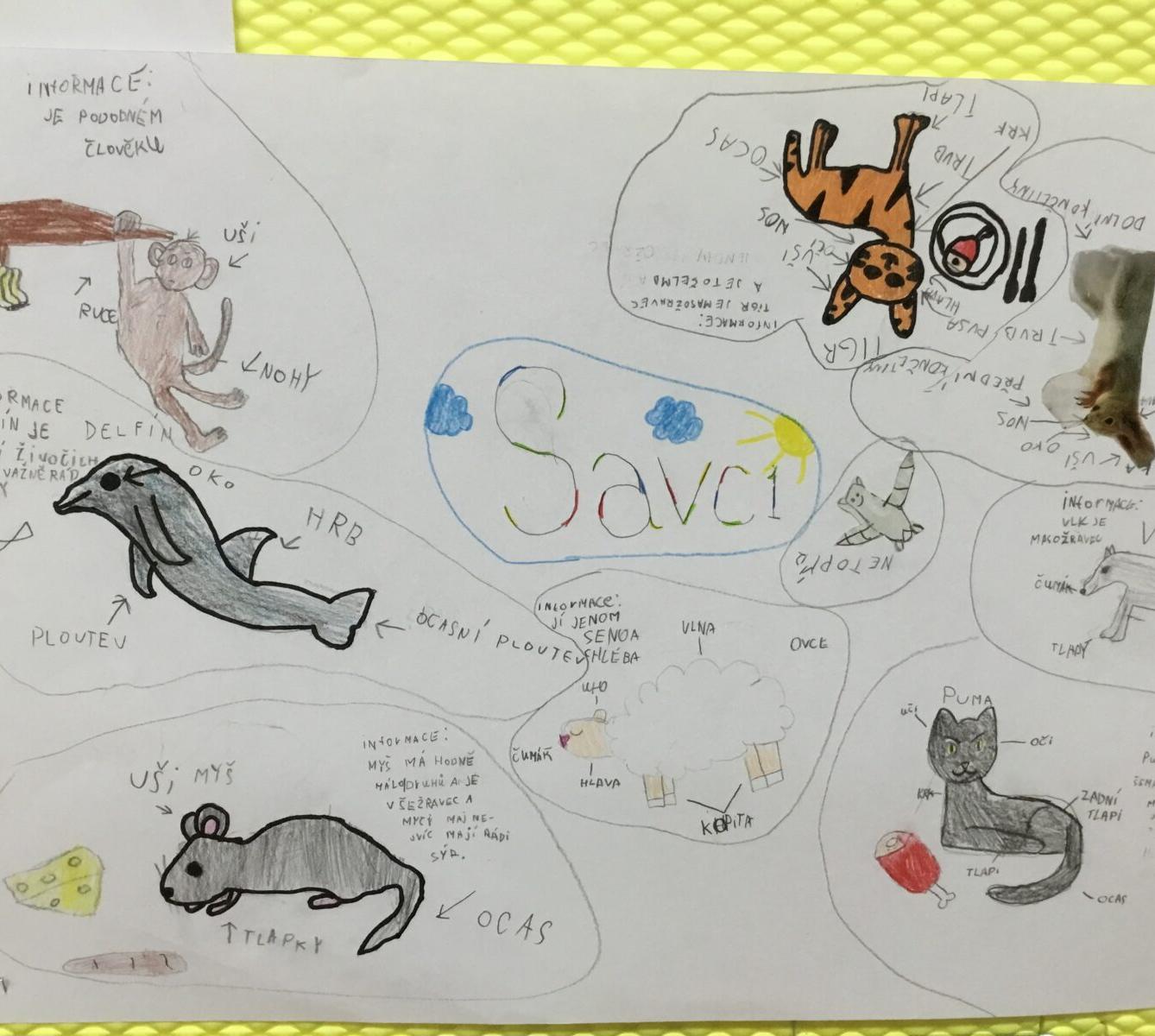 Skupinové aktivity a tandemové tvoření ve třetí třídě 7. 5. - 6