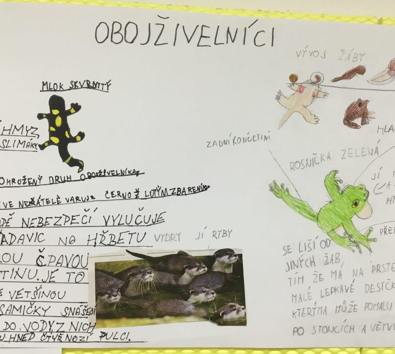 Skupinové aktivity a tandemové tvoření ve třetí třídě 7. 5. - 7