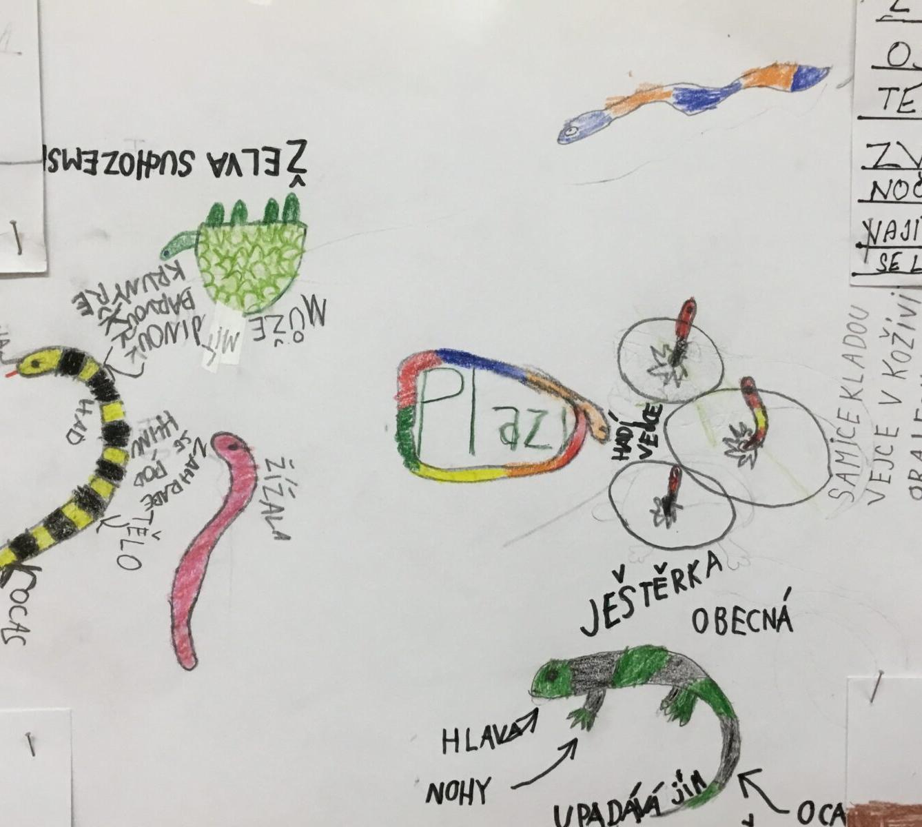 Skupinové aktivity a tandemové tvoření ve třetí třídě 7. 5. - 8