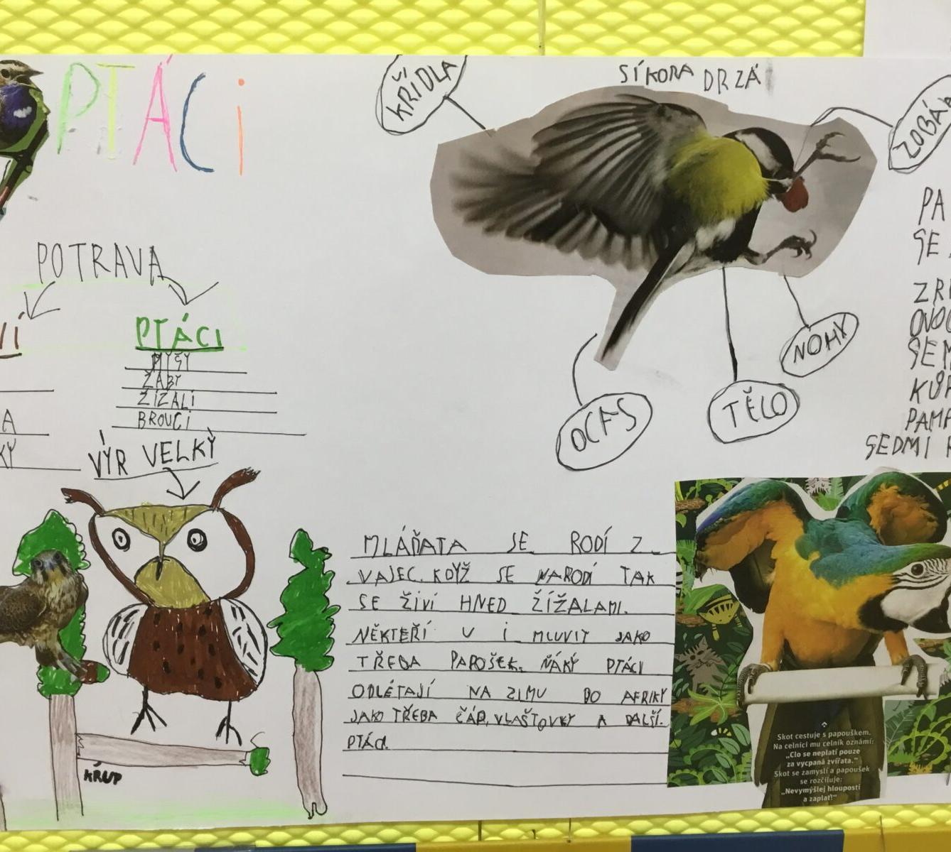 Skupinové aktivity a tandemové tvoření ve třetí třídě 7. 5. - 9