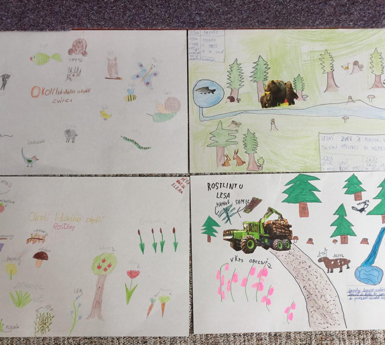 Skupinové projekty z prvouky ve třetí třídě 28. 5. - 6