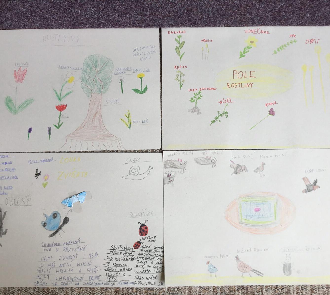 Skupinové projekty z prvouky ve třetí třídě 28. 5. - 7