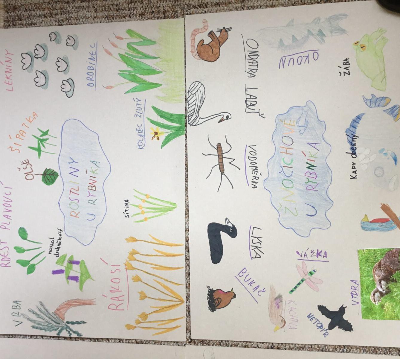 Skupinové projekty z prvouky ve třetí třídě 28. 5. - 8