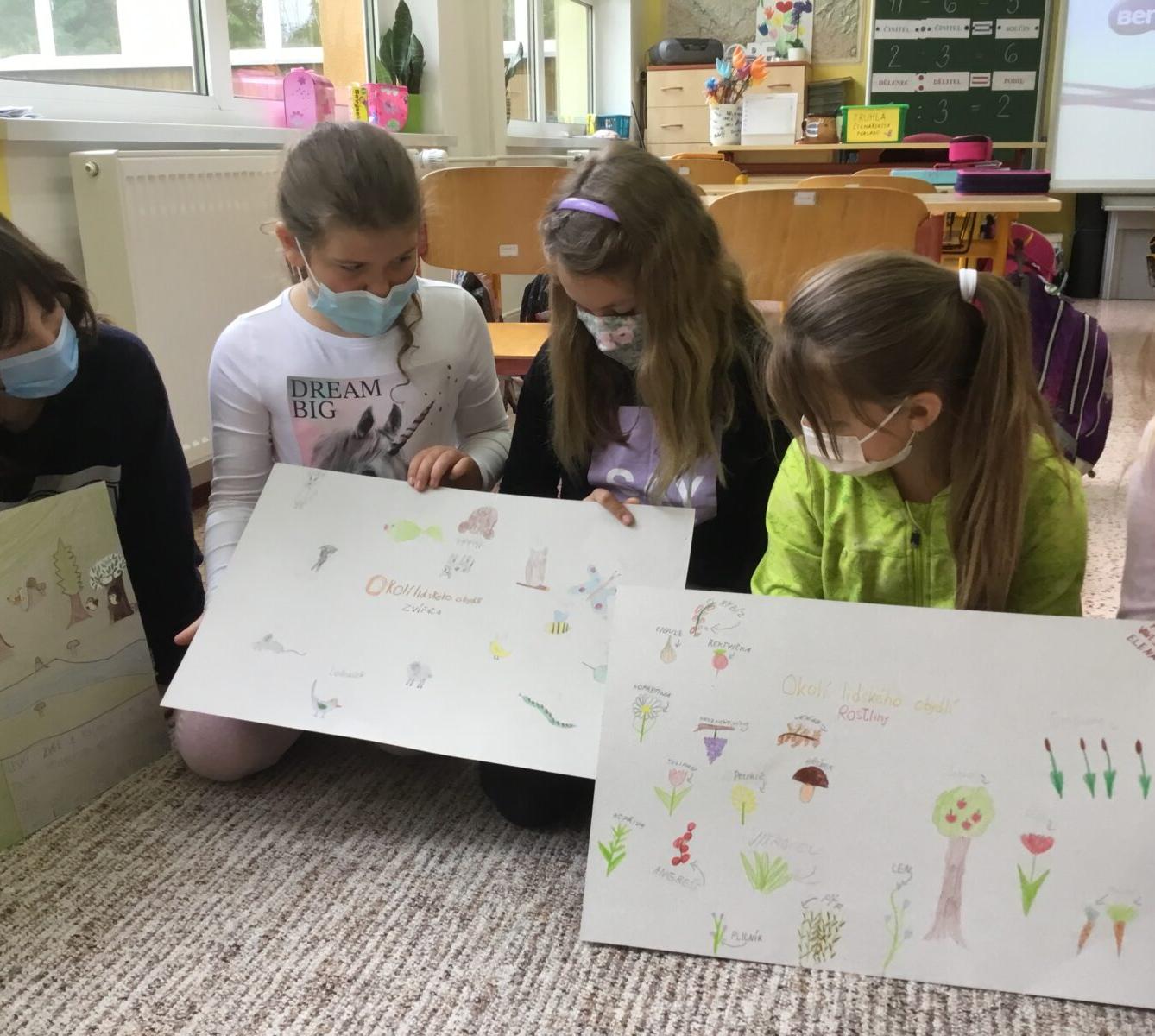 Skupinové projekty z prvouky ve třetí třídě 28. 5. - 11