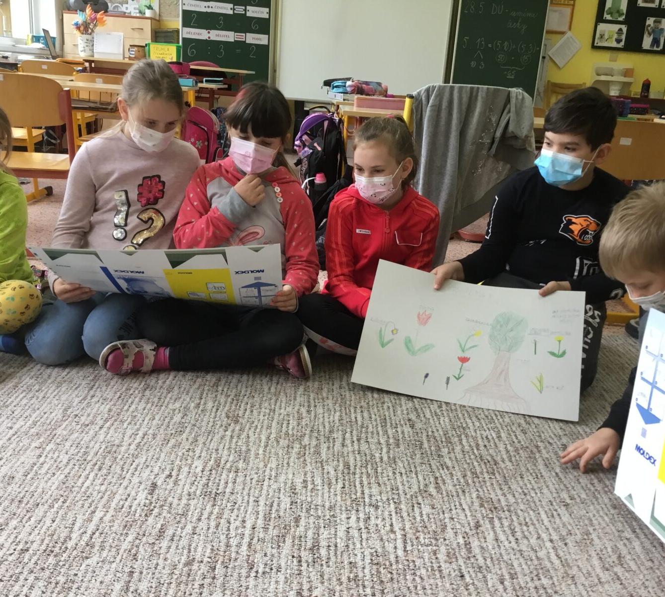 Skupinové projekty z prvouky ve třetí třídě 28. 5. - 13