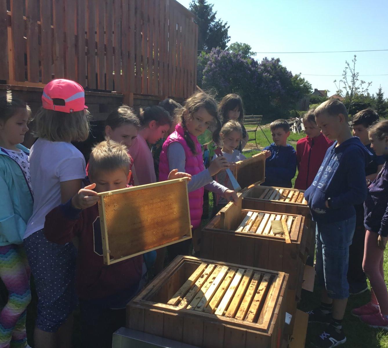 Dětský den a projektový "Den se včelami" ve třetí třídě - 22