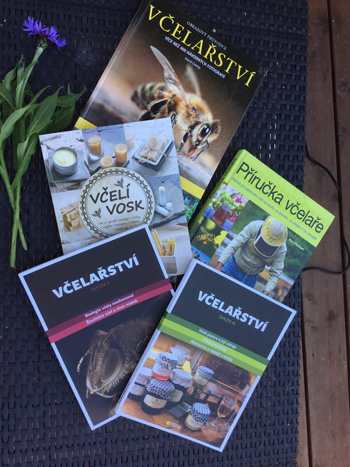 Dětský den a projektový "Den se včelami" ve třetí třídě - 31